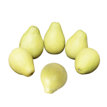 二哥 沙田柚 单个约1.2-1.6斤 2个装