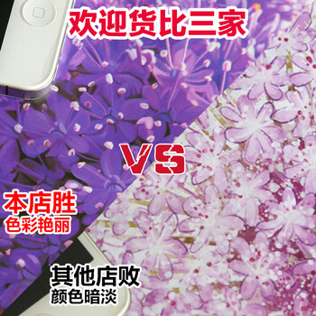 纤迪墙贴 居家装饰可移除墙贴画 卧室客厅电视沙发背景墙贴纸 蒲公英花球