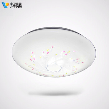 輝陽LED吸顶灯12W16W22W烟花 现代简约书房餐厅厨房阳台过道玄关灯具正白光 12W正白光-直径27cm