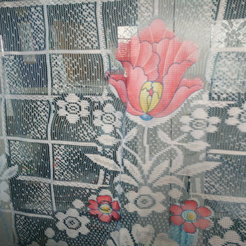
                                        双蝶夏季防蚊防蝇防虫加密软纱门帘子免穿磁高档整体家用软纱门窗帘 浅蓝色 宽1米高2.1米                