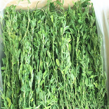 秀恩宠物牧草 苜蓿草 提摩西草 兔草兔粮 豚鼠粮 龙猫提摩西 含箱重