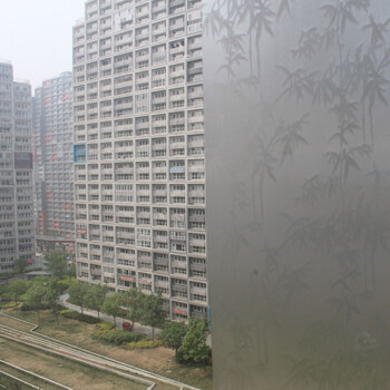 
                                        斯图（sitoo） 细磨砂.玻璃贴膜.卧室客厅浴室窗户贴太阳膜玻璃门贴纸窗贴防晒 竹叶45cm*10m                