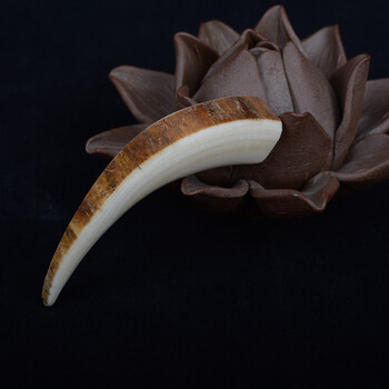 象主猛犸象牙精品捡漏专场