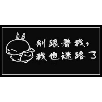 踏板车可爱个性反光贴 装饰贴纸车贴 yh-16:我也迷路了!