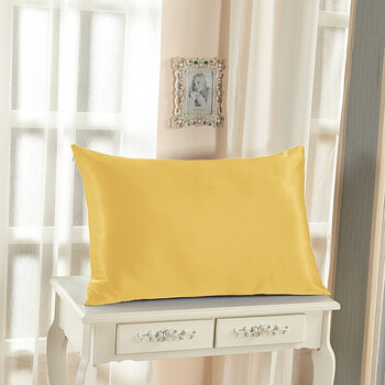 双面真丝枕套拉链开口桑蚕丝丝绸枕头套 金色 50x75