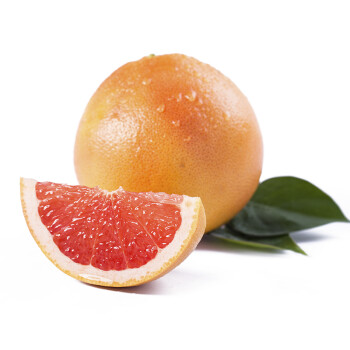 苏洪鲜食 南非进口西柚葡萄柚 柚子 6个装 海外直采 新鲜水果