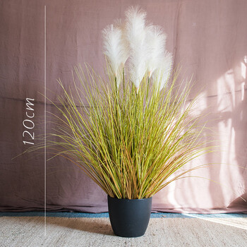尚心堂【】仿真蒲苇草大型盆景 芦苇蒲草水烛装饰摆件绿植橱窗陈列 a