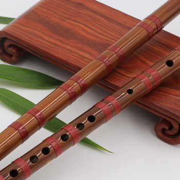 贝琪(betsy) 笛子乐器初学零基础竹笛精制d调演奏曲笛入门学生抖音