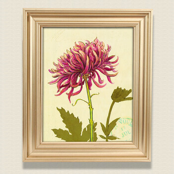 百易尚品卧室餐厅装饰画壁画有框画挂画画框单幅12款可选 b