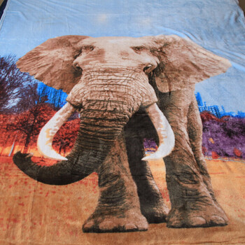 法兰绒毛毯午休毯办公室午睡毯加厚珊瑚绒毯小毛毯被子 大象3d毯(260g