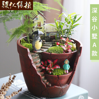 骏化子乐湾微景观迷你小盆栽可爱苔藓微景观创意盆栽生态瓶微景观植物深谷小墅a款 图片价格品牌报价 京东