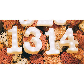 数字1314(一生一世)【图片 价格 品牌 报价】-京东