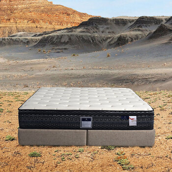 dorlux 天丝进口乳胶席梦思弹簧床垫 白色 1800*2000