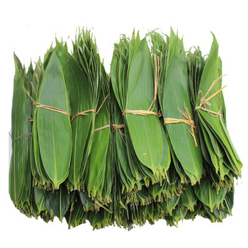 新鲜粽叶 端午节粽子叶野生箬叶廖叶竹叶真空保鲜包装 新鲜粽叶 150片