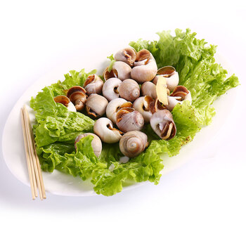 山东青岛鲜活香螺 500g 1份 海鲜水产_ 9折现价69元