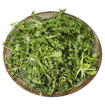 北京水源地 新春 山坡野菜 现挖现卖 新鲜蔬菜 野荠菜200g