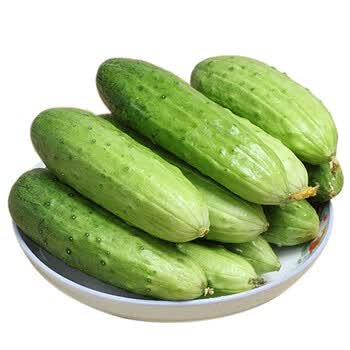 东北旱黄瓜新鲜水果黄瓜蔬菜农家自种时令蔬果5kg