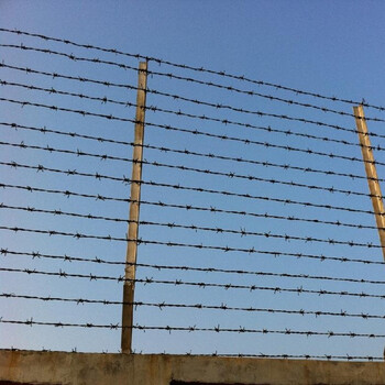 防盗防爬带刺铁丝网围栏围墙 镀锌防锈铁蒺藜刺绳刺丝网防护栏网 2.