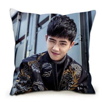刘昊然抱枕双面定制作来图定做学生靠枕头靠垫自定义diy真人照片 明