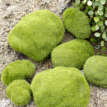 攸竹 仿真苔蘚 苔蘚石頭 植絨石頭 假石頭苔蘚草坪 微景觀擺件裝飾