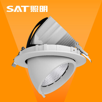 SAT照明cob射灯30W象鼻灯高档嵌入式360度旋转灯转角灯商场服装珠宝店展厅背景墙照明 象牙白30W 24度 4000K暖白光