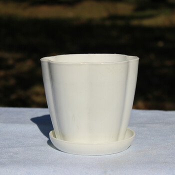 南瓜花盆密胺花瓣盆 梅花型花盆 塑料花盆 树脂花盆带托盘 白色 特小