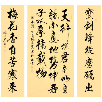 贵州省书法家协会会员 杨宗贵《天行健》中堂