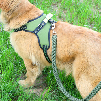 布馬鞍式狗狗牽引繩小大中型犬狗胸揹帶狗牽引帶套 胸背 軍綠8股繩 xl