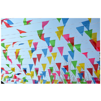 串旗小三角旗工地彩旗婚庆开业活动挂旗结婚吊旗喜庆旗子彩旗 小号5米