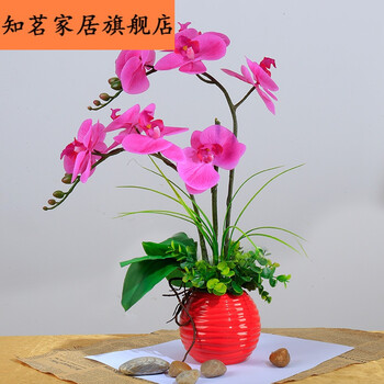 仿真花蝴蝶兰套装 客厅整体插花花艺 假花盆栽摆设装饰花蝴蝶兰 水纹