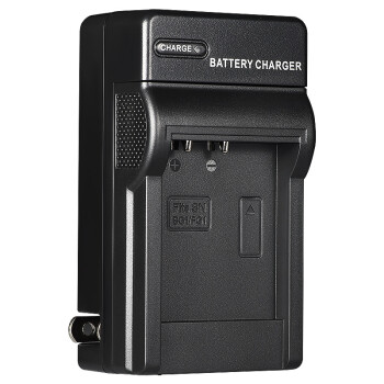 蒂森特（dste）索尼  NP-BG1 充电器 适用DSC-H10 H20 H50 DSC-W30 W35 W50 W55 W70 相机 充电器