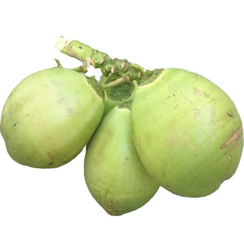 青椰子 海南新鲜椰子 带皮大椰青 嫩 现摘 3个装