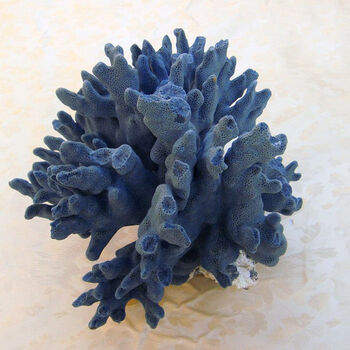 天然珊瑚树鱼缸水族装饰地台造景创意摄影摆件 深蓝色 蓝珊瑚24-30cm