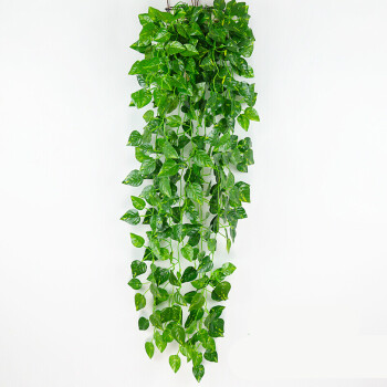仿真植物假花藤条藤蔓绿植墙挂饰客厅吊兰装饰壁挂吊篮绿树叶 西瓜(2