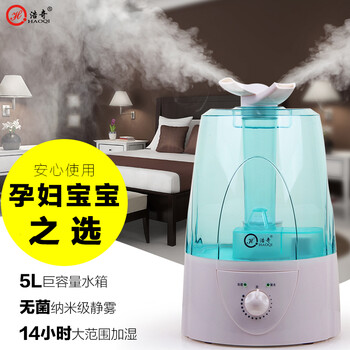 
                                        浩奇香薰机空气加湿器5L大容量 家用 办公室空调空气加湿器 静音 创意大喷雾 浅绿色                
