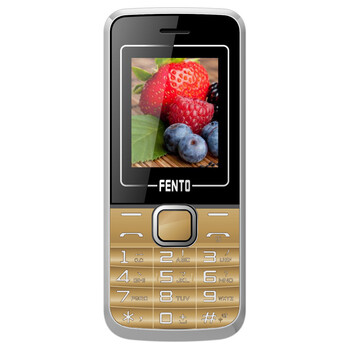 丰讯达(FENTO) C602 CDMA天翼电信版 老年人手机 金+银