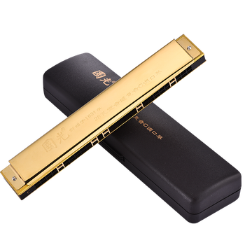 国光口琴高级成人28孔复音c调宽音域重音初学者专业演奏上海老品牌送