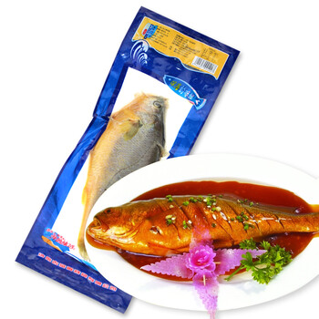 古堂香 烟台冷冻大黄花鱼 550g 一条 袋装