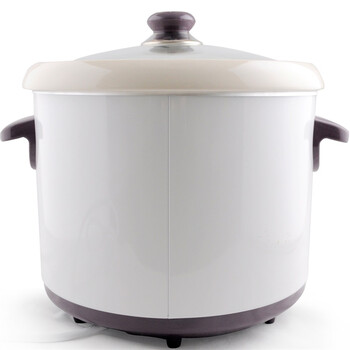 
                                        天际(TONZE)DDG-W340N电炖锅煲汤锅4L                