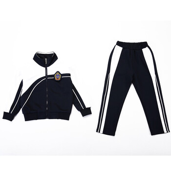 春季班服小学生蓝白中国校服套装中学生长袖学院风高中春秋运动服