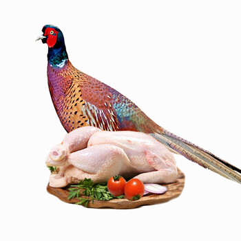 野鸡 七彩野山鸡 净重约1kg/只 深山农家散养野山鸡 一公一母 野鸡