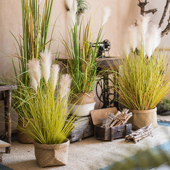 仿真蒲苇草大型盆景 芦苇蒲草水烛装饰摆件绿植橱窗陈列 黍谷草(绿)