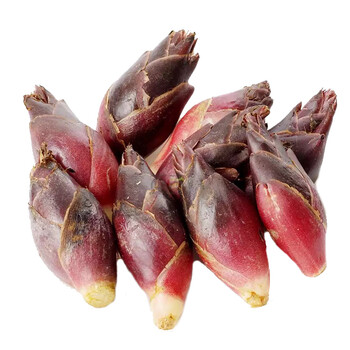 阳荷姜 洋荷姜洋霍元荷野山姜茗荷阳霍姜 3斤