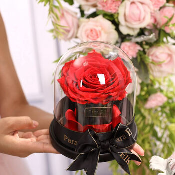 创意星座仿真玫瑰保鲜花七夕情人节礼物送女友生日纪念品 浅粉摩羯座