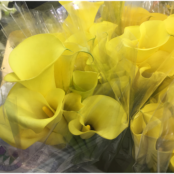 利勿浦海芋 鲜花 鲜切花花材 鲜花速递生日情人节用花上海 明黄色 10