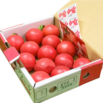 日本进口静冈县番茄 高糖度西红柿 新鲜水果 1kg