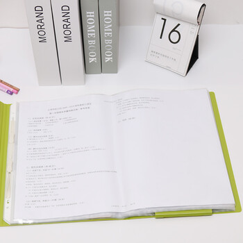 齐心(Comix) A3活页袋 11孔白条横入式资料袋  20页装 EH450 透明