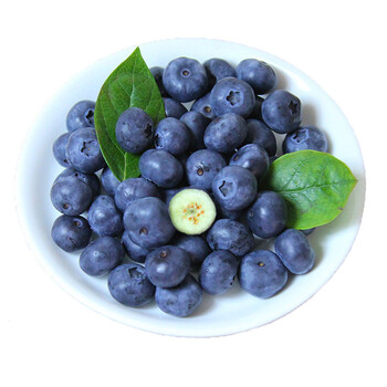 新鲜现采丹东蓝莓 国产东北丹东蓝莓草莓非智利烟台 125g*4盒(14mm