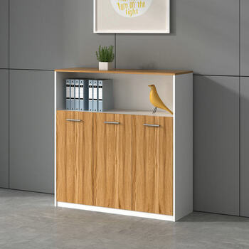 办公家具 文件柜 矮柜 档案柜 办公柜 资料柜 书员工柜子木制 三门高