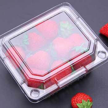 水果包装盒一次性塑料透明水果保护盒长方形卡通装饰盒 a款250克容量